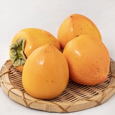 곰곰 GAP 후숙해서 먹는 대봉시, 1.2kg, 1팩