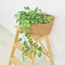Meric Garden 仿真白斑黃金葛藤 6M, 1個