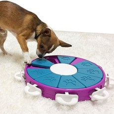 Nina Ottosson 狗狗圓盤嗅聞玩具, 混色, 1個