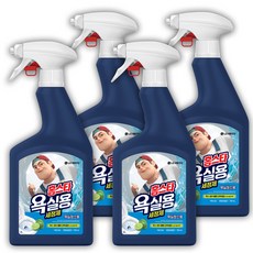 홈스타 욕실용 세정제 라임바질향, 750ml, 4개