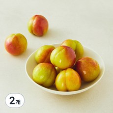 가족 의성 당도선별 자두, 1.2kg(중과), 2개