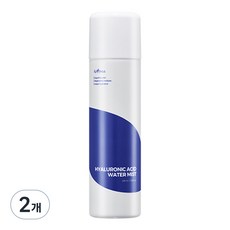 이즈앤트리 히아루론산 워터 미스트, 100ml, 2개