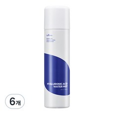 이즈앤트리 히아루론산 워터 미스트, 100ml, 6개