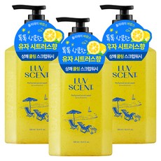 LUV SCENT Holiday Vacance 磨砂沐浴乳 柚子柑橘香, 3個, 500ml