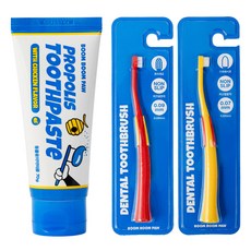 붐붐포 반려동물 초미세모 소프트 브러쉬 칫솔 2종 + 치약 닭고기향 70g 세트, 1세트