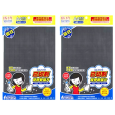 SUCCESS 成功 已切割軟磁片 A4 尺寸 2cm x 2cm 厚1mm 自黏吸貼, 21318, 2包