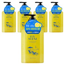 LUV SCENT Holiday Vacance 磨砂沐浴乳 柚子柑橘香, 5個, 500ml