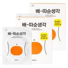 바른생각 파스형 배 따순 생각 핫팩 5p, 2개