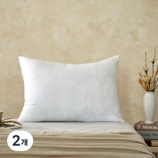 모던하우스 베이직 베개솜, 화이트, 2개