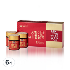 대동고려삼 6년근 활기찬 홍삼정, 6개, 100g