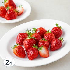 올푸릇 무농약 인증 설향딸기 중과, 500g, 2개