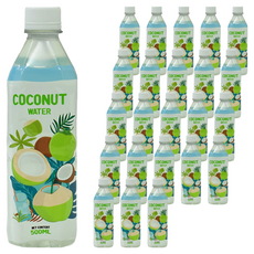 RFC 코코넛워터, 500ml, 24개