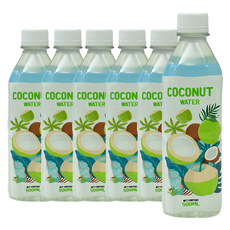 탄도 RFC 코코넛 워터 100%, 500ml, 6개