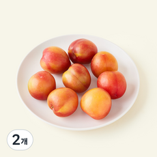 다조은 자두 7~9입, 2개, 300g