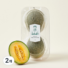 올푸릇 GAP 인증 강정열 농부의 하미과 멜론 2입, 2개, 1.3kg