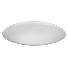 TOSHIBA 東芝 LED壁切吸頂燈 星爍 附連結器 + 自攻螺絲 2支 + 安裝引掛 40W 直徑 446 x 132mm 1090g, LEDTWWLS10-S02S