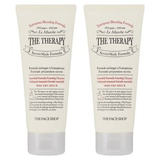THE FACE SHOP 菲詩小舖 The Therapy Essential Formula 潔面泡沫, 150ml, 2個