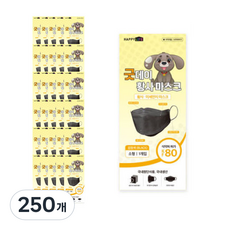 GoodDay 황사마스크 소형 KF80, 1개입, 250개, 블랙