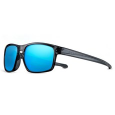 FANTON FANTON 偏光太陽眼鏡 FFG04, 藍色鏡面(鏡片), 水晶黑(鏡框)