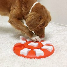 Nina Ottosson Dog Smart 嗅聞益智玩具 27 x 3.5 cm, 1個, 混合顏色