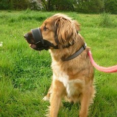 Tycoon 大型犬 Gentle Leader 嘴套控制尼龍嘴套 XL, 混合色, 1個