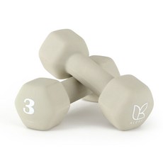 아리프 네오프렌 선인장 아령, 3kg, 2개