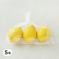 곰곰 미국산 레몬, 350g, 5개
