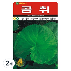 아람종묘 곰취 씨앗 100립, 2개