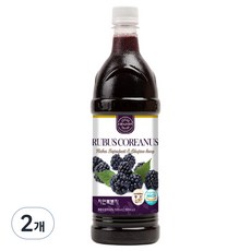 차전 자연에서온 복분자 원액, 900ml, 2개