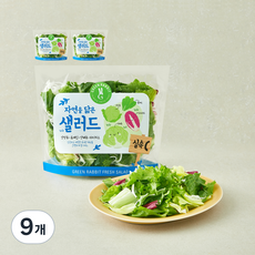 그린래빗 자연을 닮은 샐러드 실속C, 100g, 9개