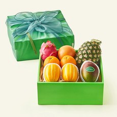 온브릭스 과일 6종 선물세트 민트 2호 3.56kg 고급보자기 포함, 1세트