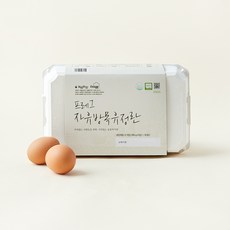 난각1번 계림농장 동물복지 자유방목 유정란, 15구, 1개