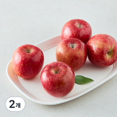 올푸릇 저탄소 사과 부사 5~6입, 1kg, 2개
