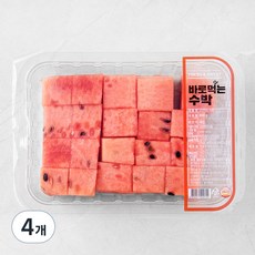 바로먹는 수박, 800g, 4개