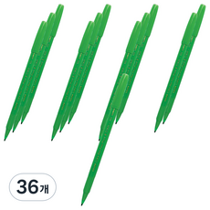펜텔 수성 컬러펜 2.0 S360-111, Light Green, 36개