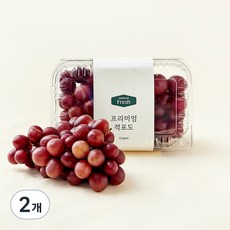 프리미엄 적포도, 500g, 2개