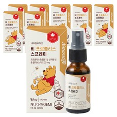 네추럴라이즈 비 프로폴리스 스프레이, 30ml, 8개