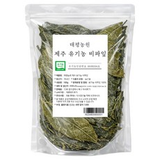 태평농원 유기농 비파잎, 100g, 1개