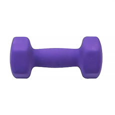 三次方 塑身小啞鈴, 5Kg 紫色 居家健身復健使用, 1個