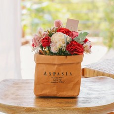 ASPASIA 康乃馨造型肥皂花籃+賀卡+插卡組, 1個, 紅色的
