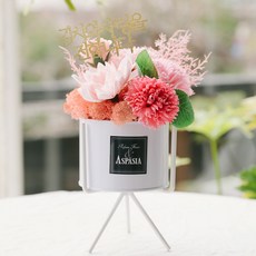 ASPASIA Lykres Scandia Moss 康乃馨肥皂花, 粉色的, 1個