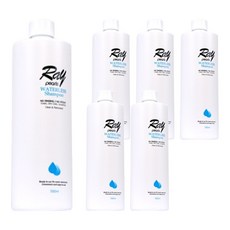 레이펄스 워터리스 드라이샴푸 리필, 500ml, 6개