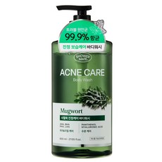 샤워메이트 사철쑥 아크네 케어 바디워시, 800ml, 1개