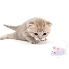 HEXBUG 貓咪老鼠玩具, 混合顏色