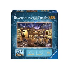 Ravensburger 維寶 Escape系列 神秘博物館 拼圖，368片，9歲以上, RV12925, 1盒