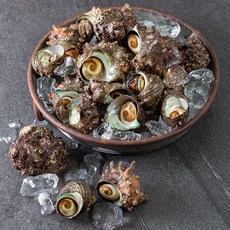 아라보감 국산 뿔소라 생물 21~30미 (냉장), 3kg(21~30미), 1개