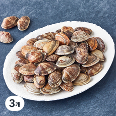 숨비해물 국내산 국물맛 깊은 바지락 (냉장), 3개, 800g