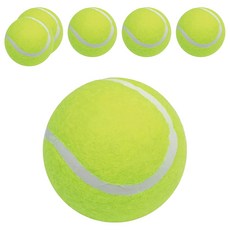 Success成功 一般練習網球 - 標準訓練用球 耐磨材質 提升球技, 綠色, 6個