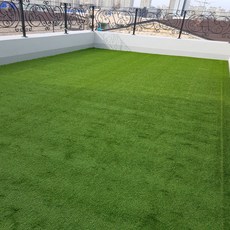 ONEGREEN 人造草皮捲 PX2800C 2 x 0.5 m, 1個