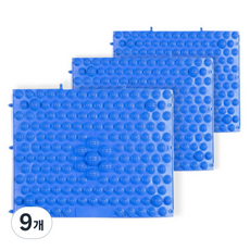 비제스코 발바닥 건강 마사지 지압 매트 VIV-B2, 블루, 9개